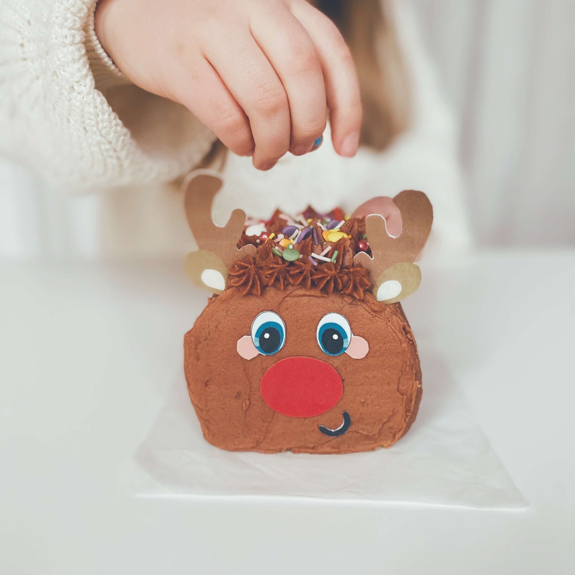 Mini Christmas Cake Kit