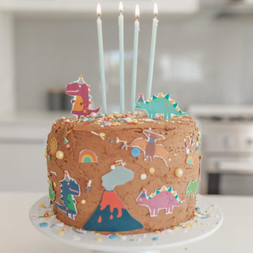 Dinosaur Magic Cake Kit