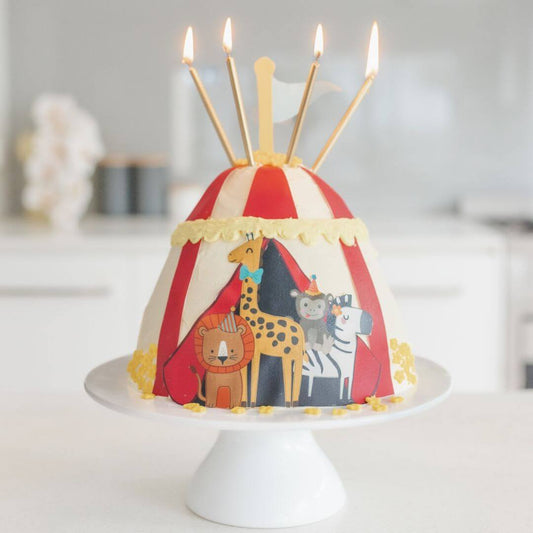 Circus Cake Kit