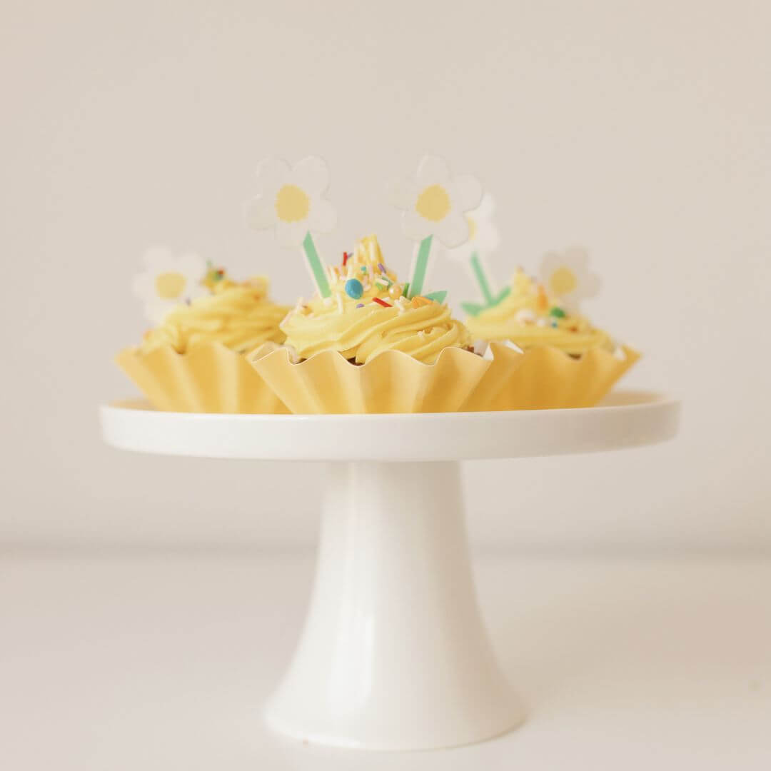 Daisy Cupcake Kit