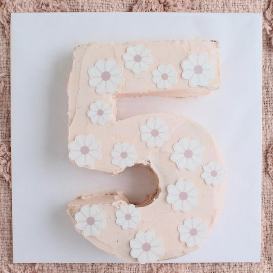 Pink Daisy Number Cake Kit