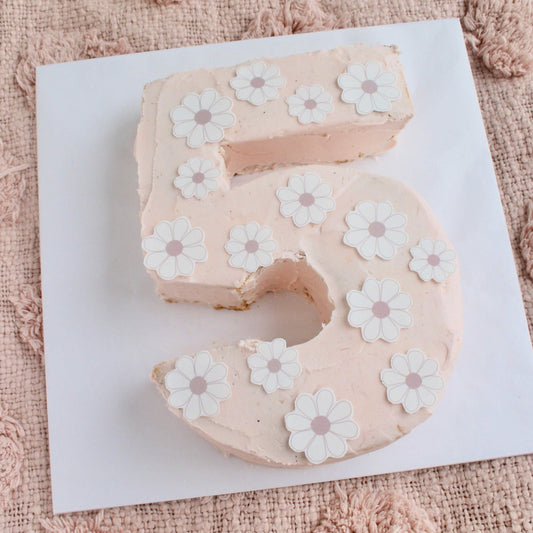 Pink Daisy Number Cake Kit