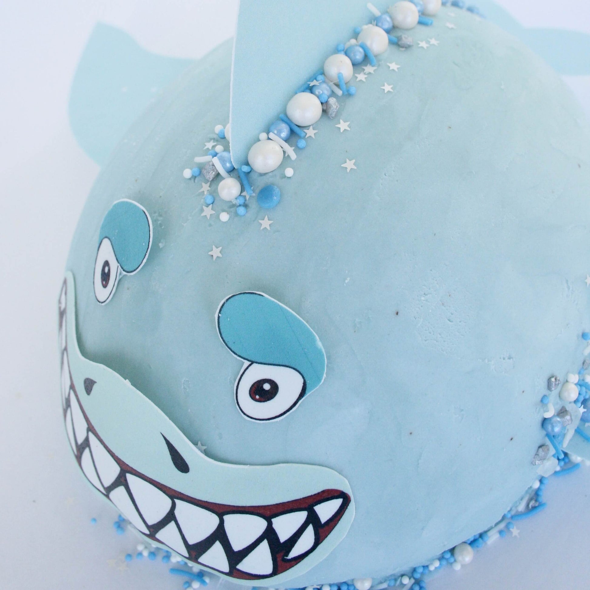 Shark Cake Kit