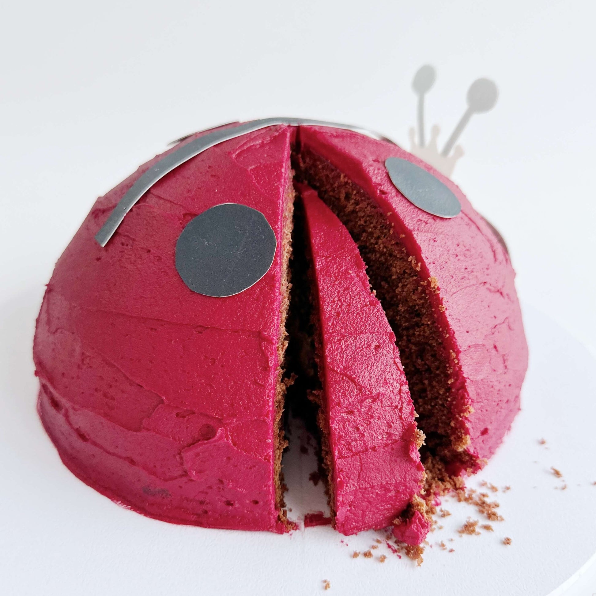 Ladybug Cake Kit