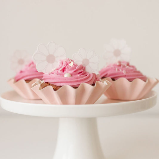 Pink Daisy Cupcake Kit