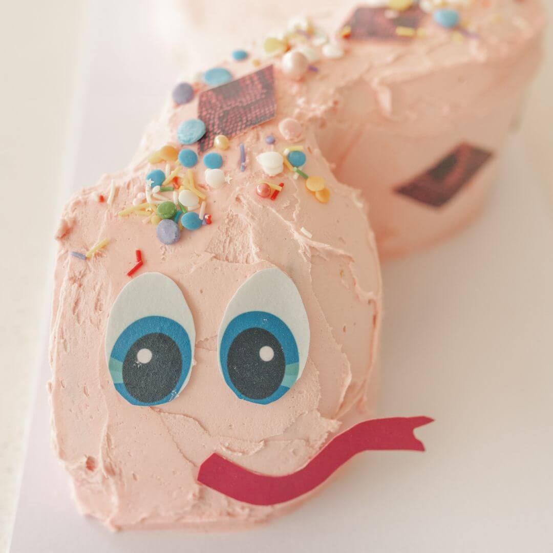 Pink Snake Cake Kit