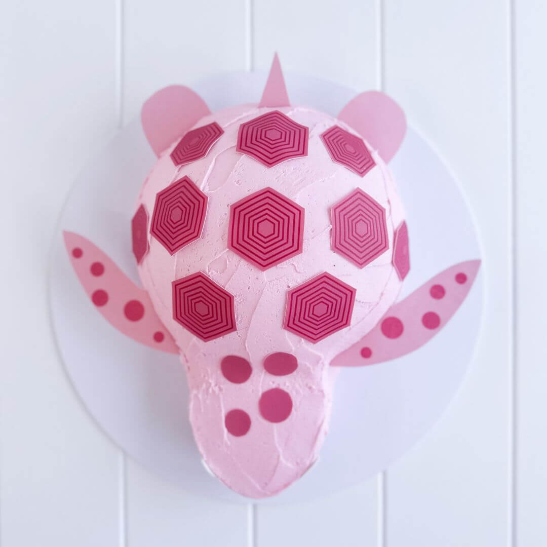 Pink Turtle cake kit