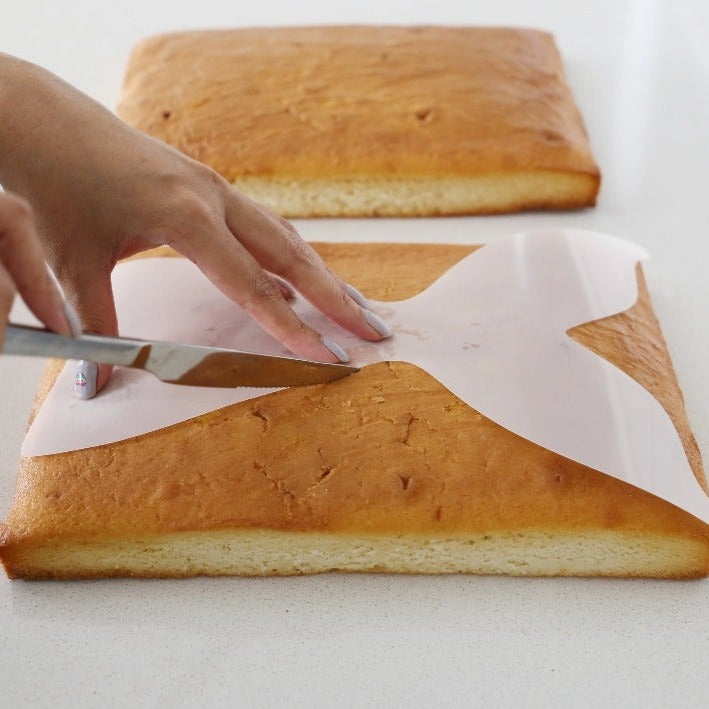 Mermaid Tail Stencil