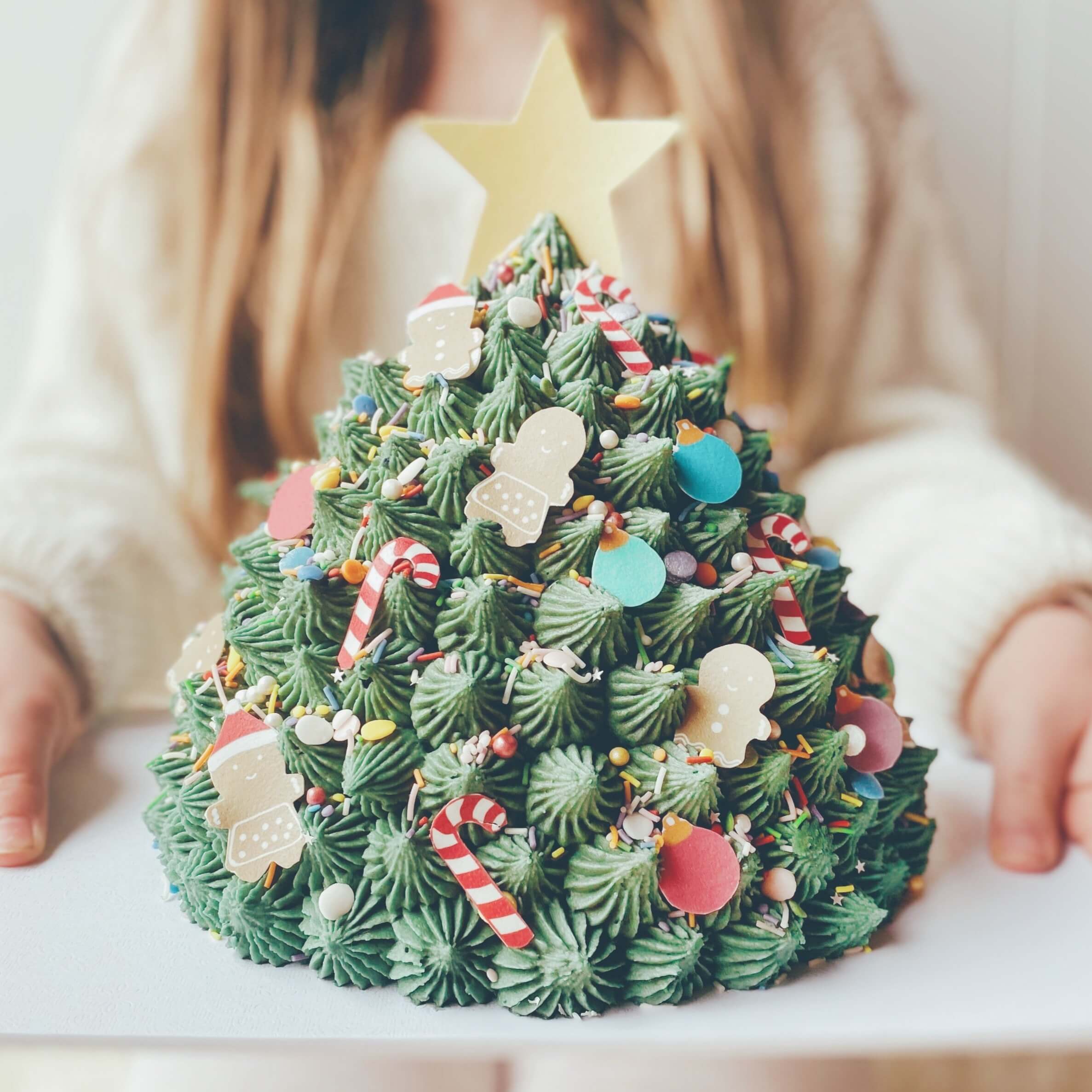 Organic Christmas Cake Kit / Riverford