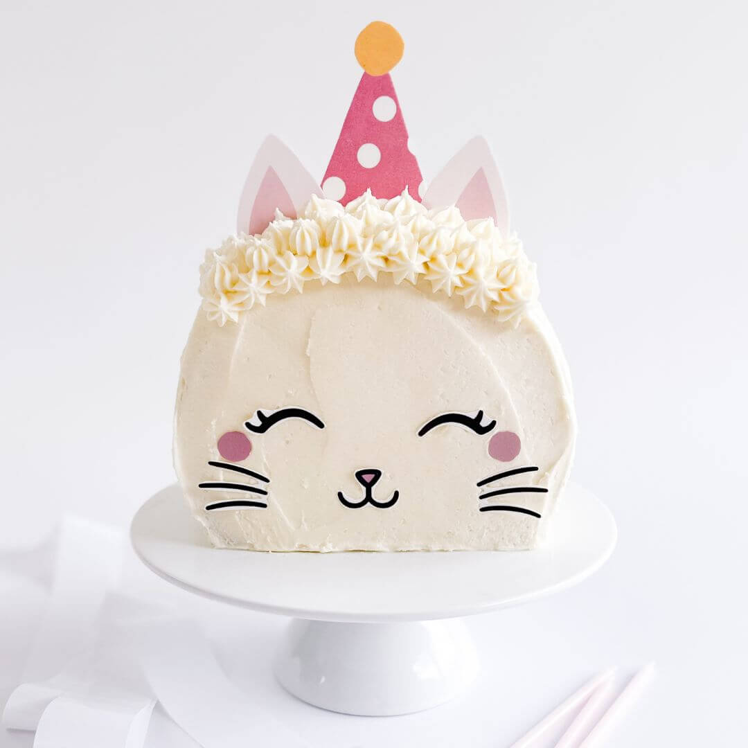 Party Cat Cake Kit