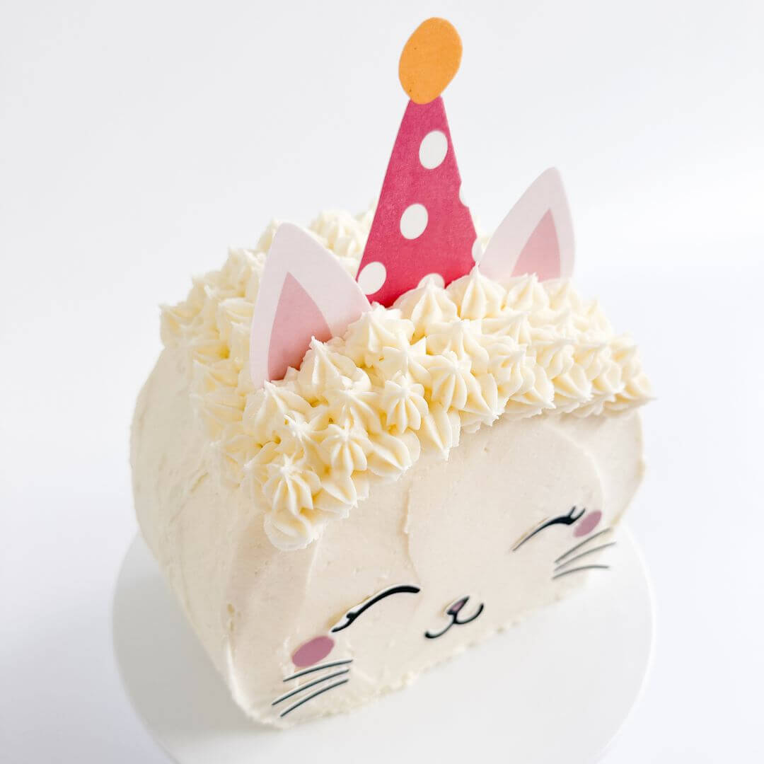 Party Cat Cake Kit