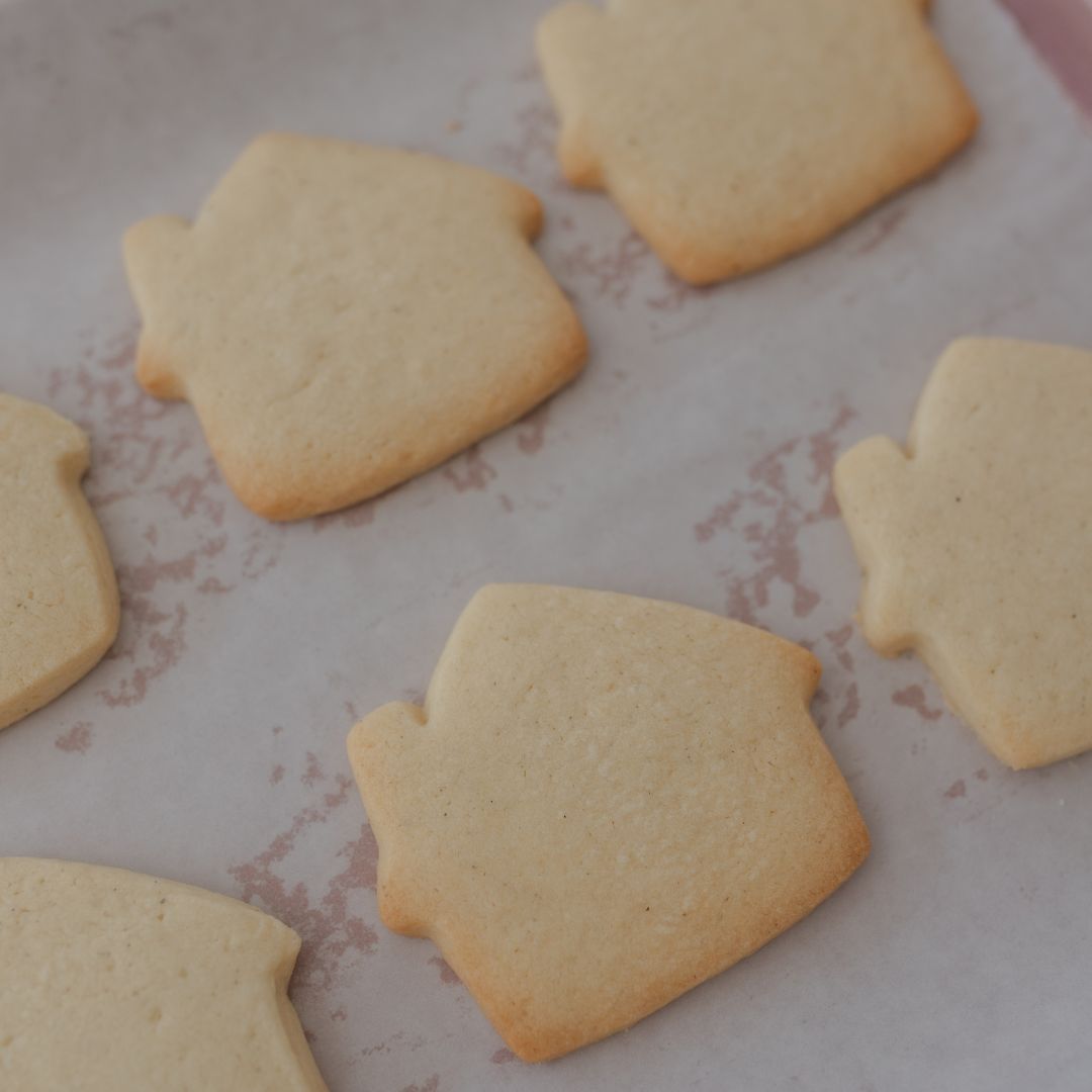 Christmas Houses Cookie Kit