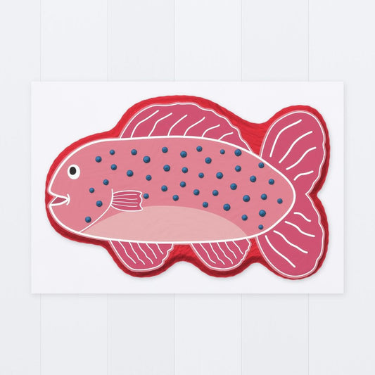 Coral Trout Cake Kit