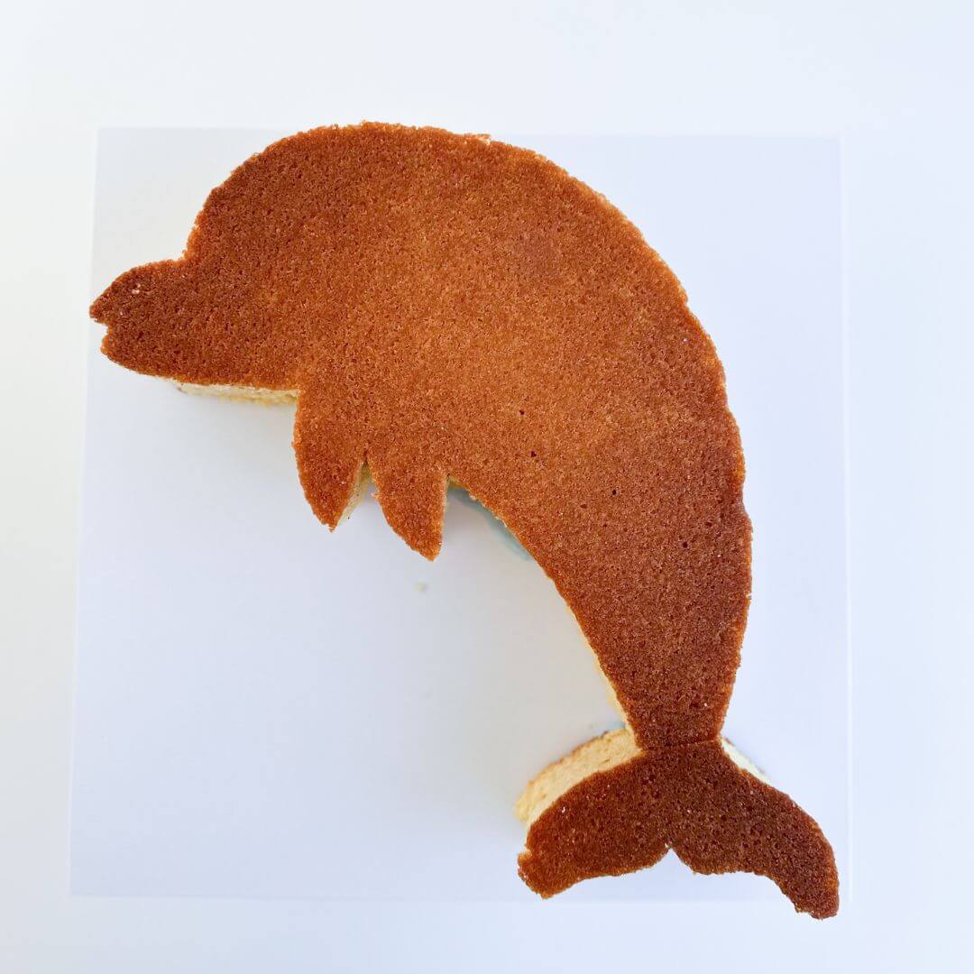 DIY Dolphin Cake Kit