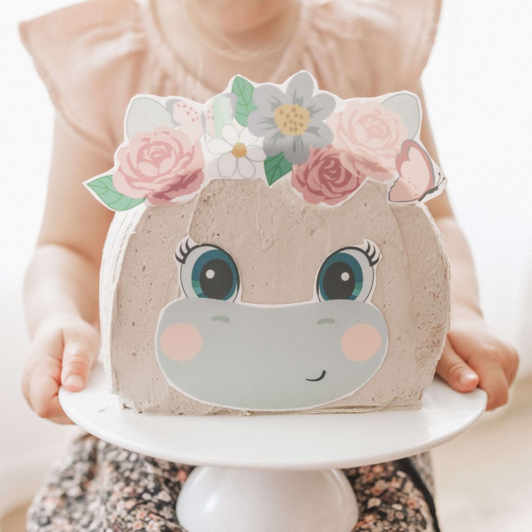 Hippo Cake Kit