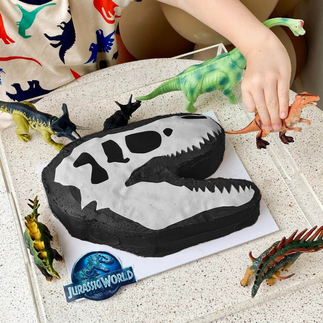 Dinosaur Fossil Cake Kit