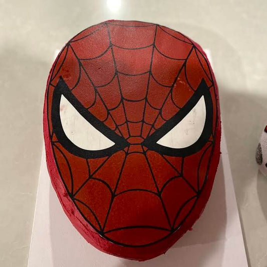 Custom Spider Mask Cake Kit