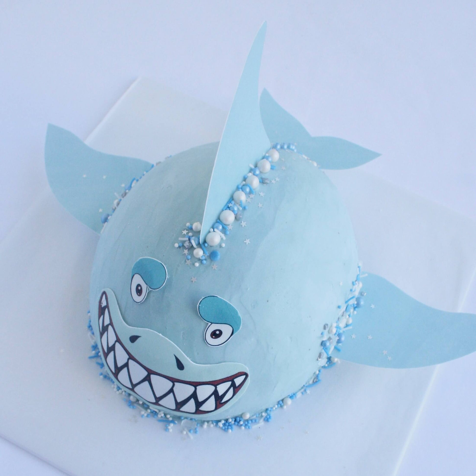 Shark Cake Kit