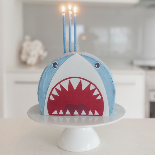 Jaws-ome Shark Cake Kit