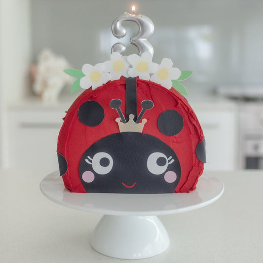Ladybug Cake Kit