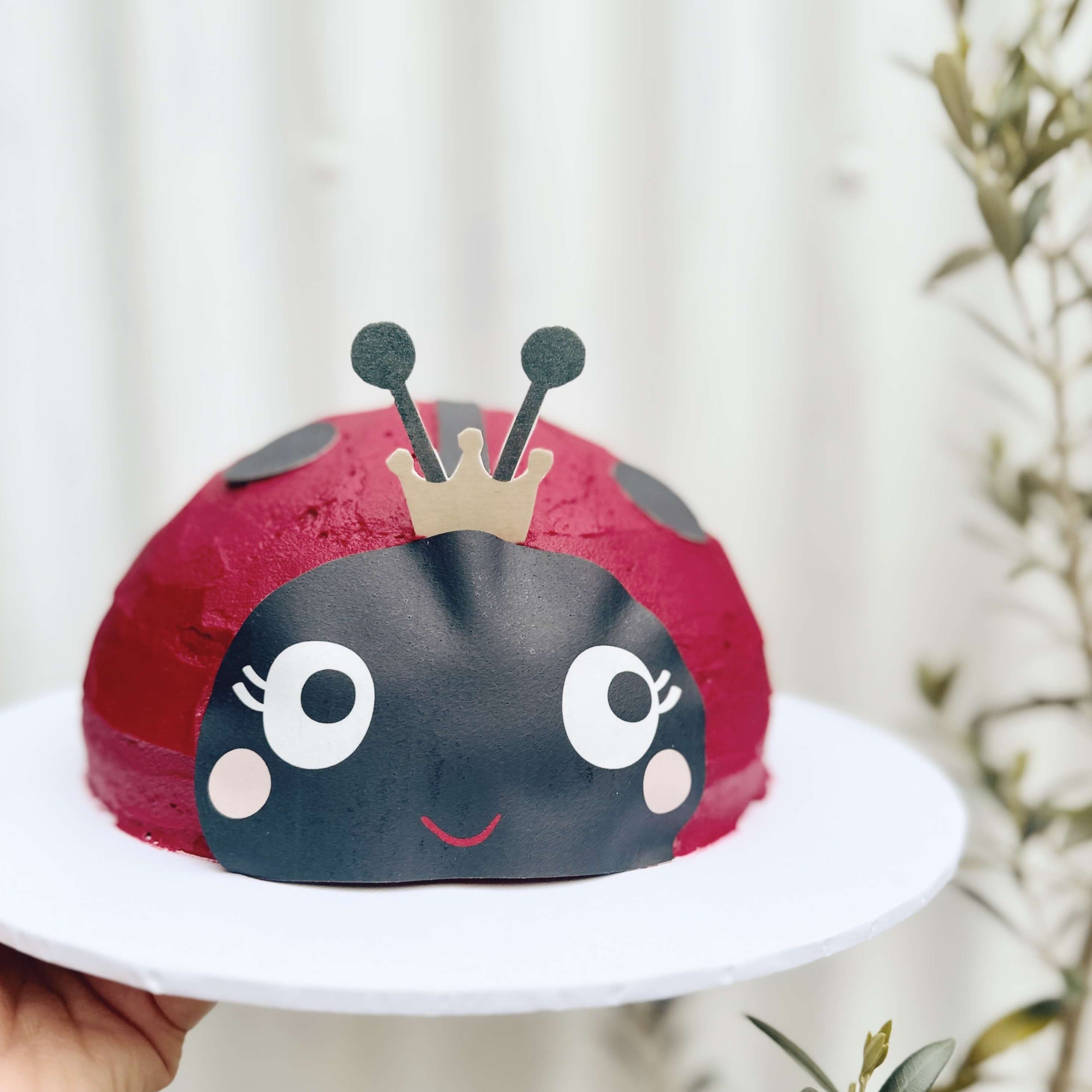 HASHAM LADYBUG FONDANT CAKE - Rashmi's Bakery