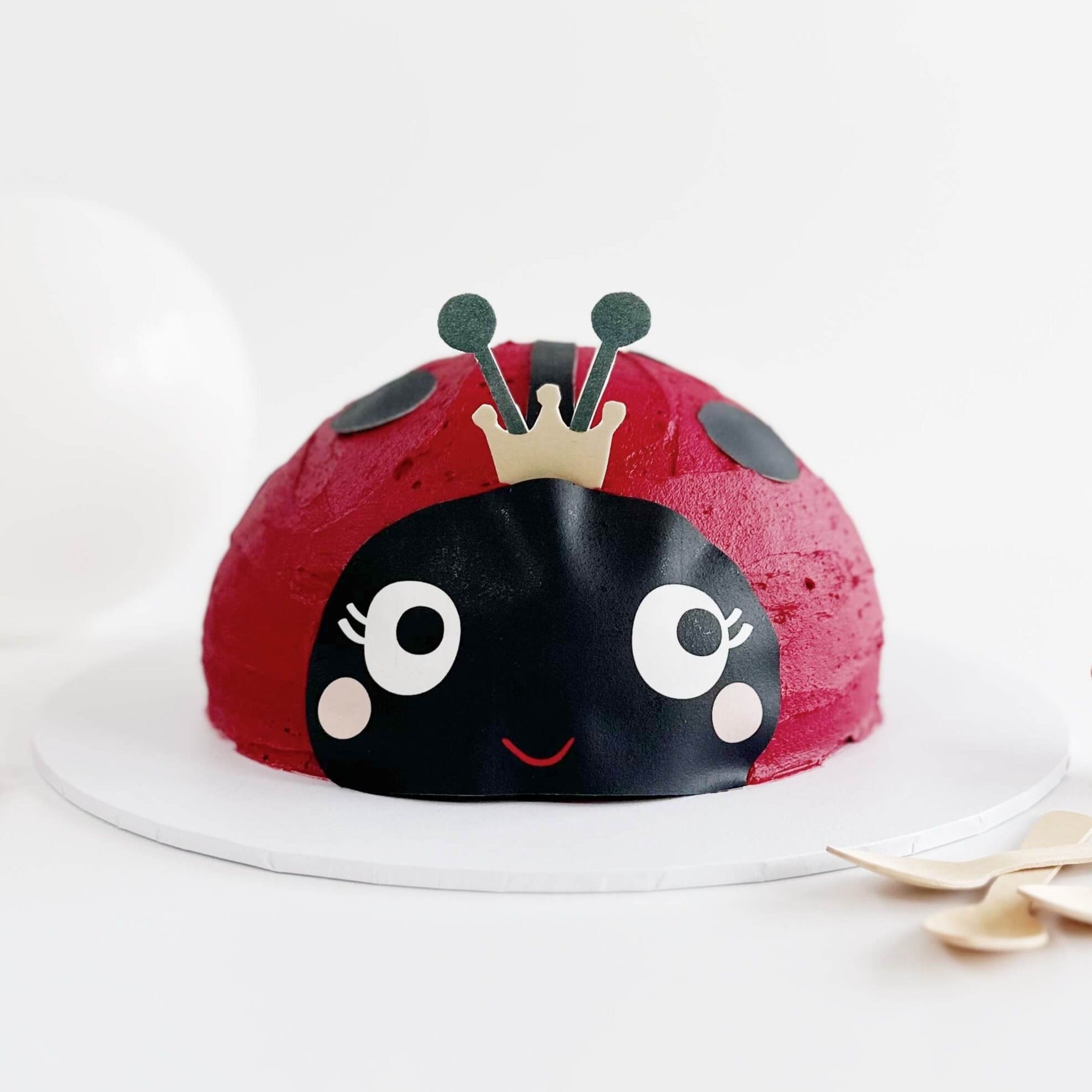 Ladybug Cake Kit