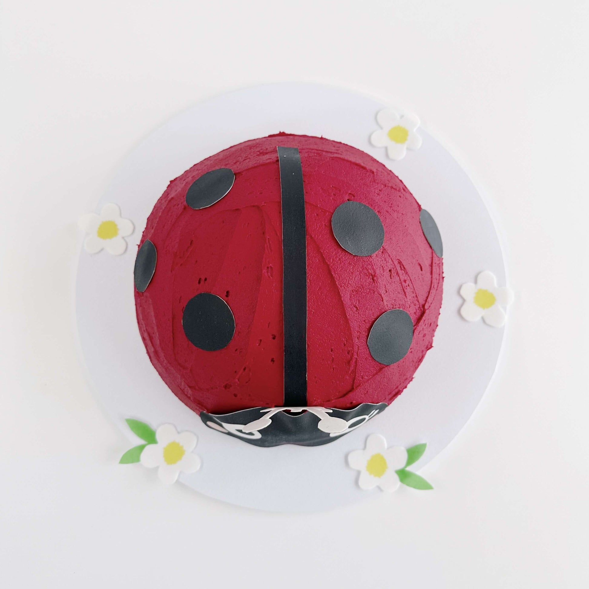 Ladybug Cake Kit