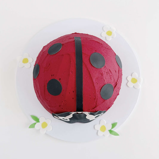 Ladybug Cake Kit