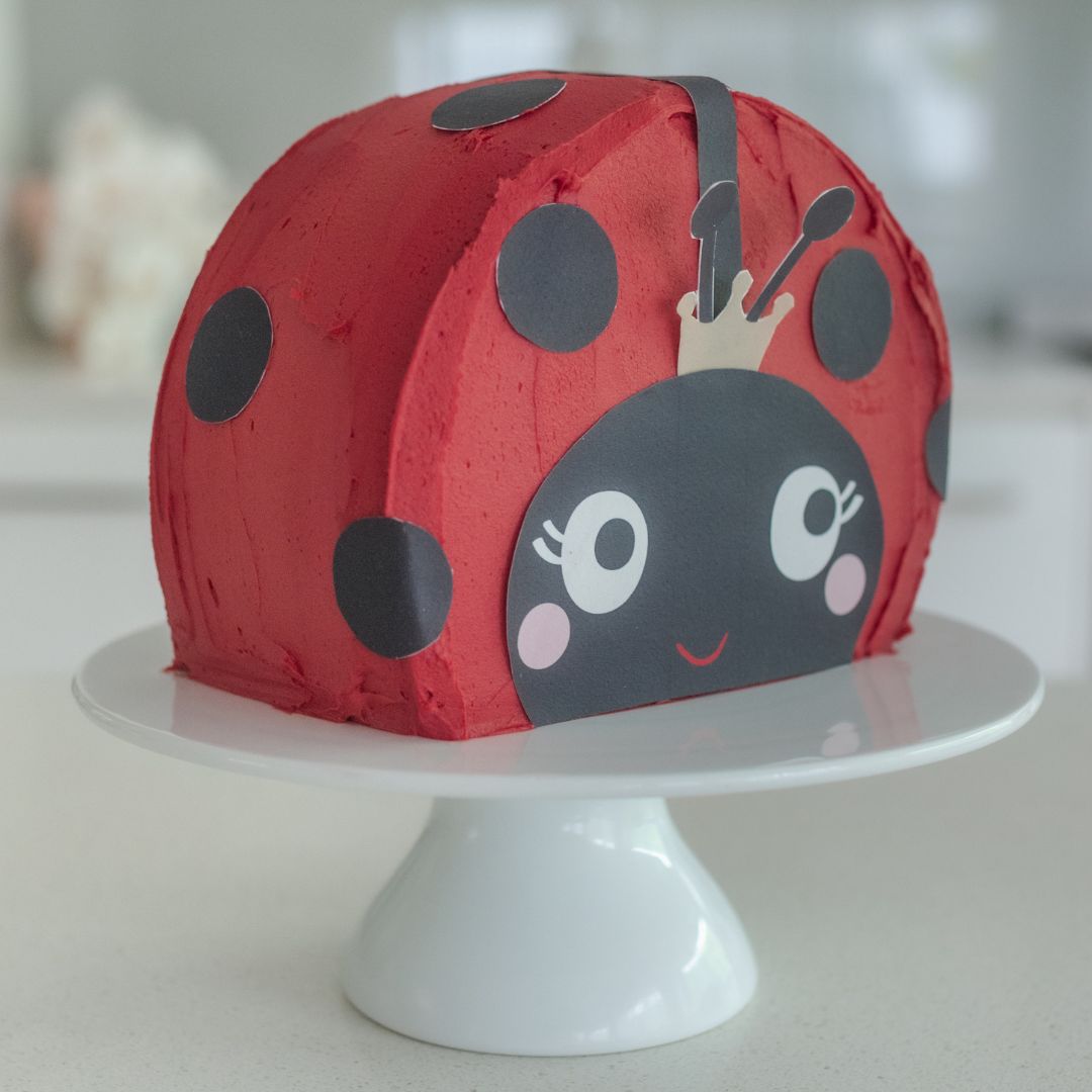 Ladybug Cake Kit