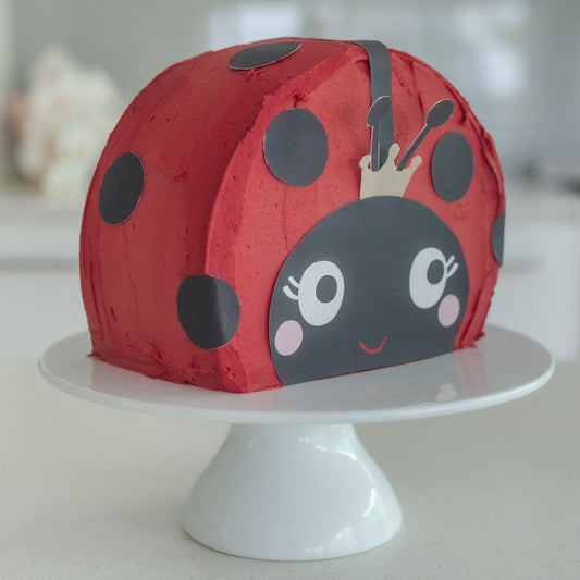 Ladybug Cake Kit