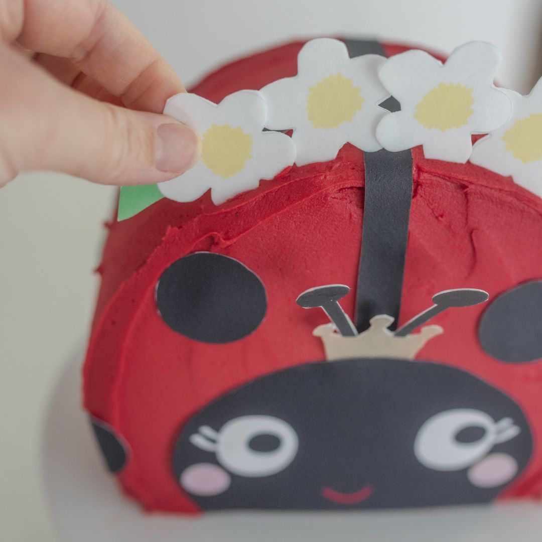 Ladybug Cake Kit