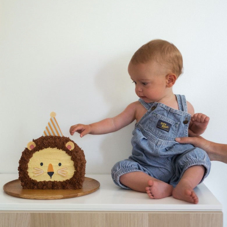 Lion cake made for my nephews 2nd birthday, inspired by a cake my mum made  for my brother's birthday 25 years ago (second photo) : r/cakedecorating