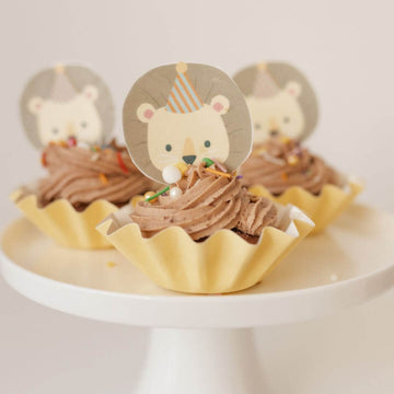 Lion Cupcake Kit