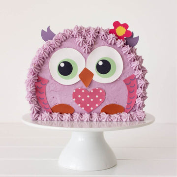 Owl Cake Kit