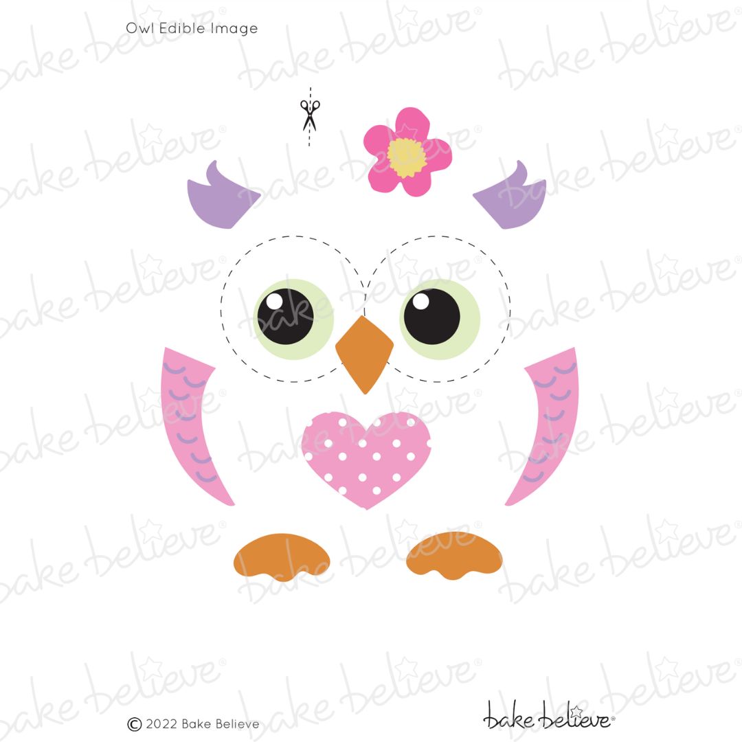 Owl Edible Image Set