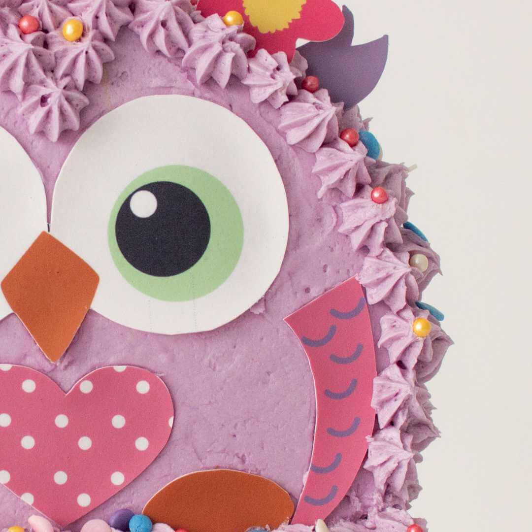 Owl Cake Kit