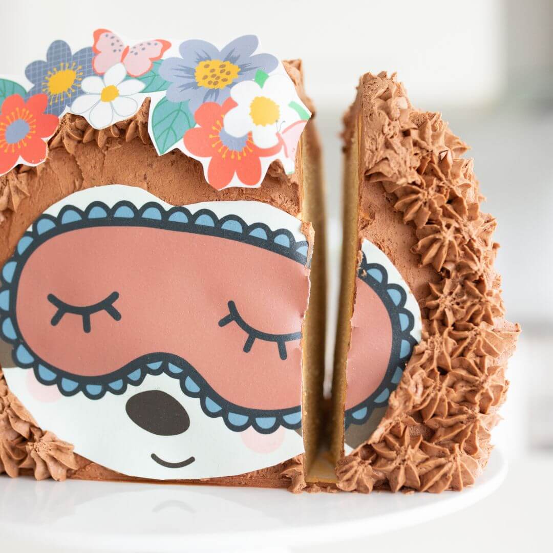 Pamper Sloth Cake Kit