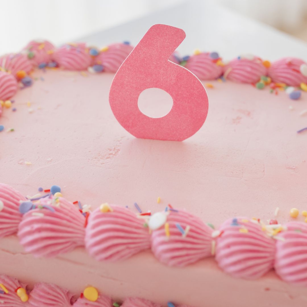 Pink Vintage Slab Cake Kit