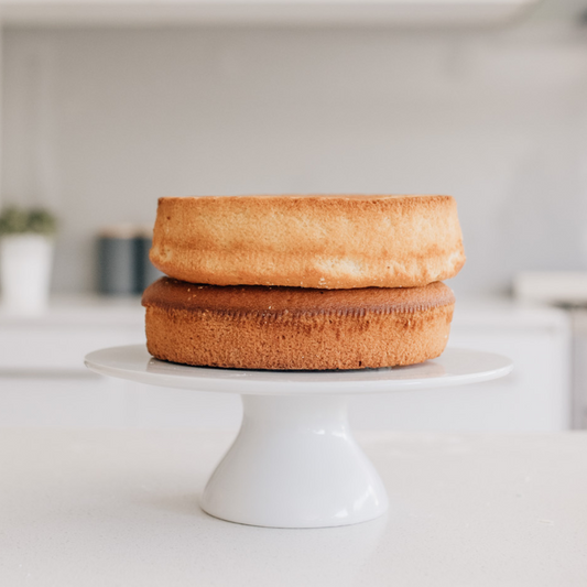 Small Round Disposable Baking Pans - Set of 2