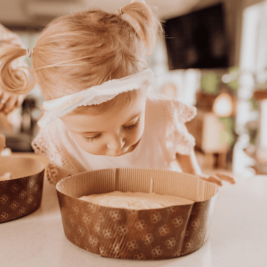 Large Round Disposable Baking Pans - Set of 2