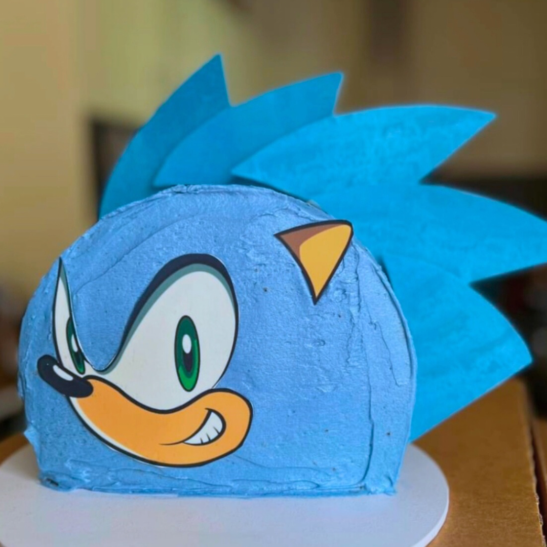 Custom Sonic Cake Kit