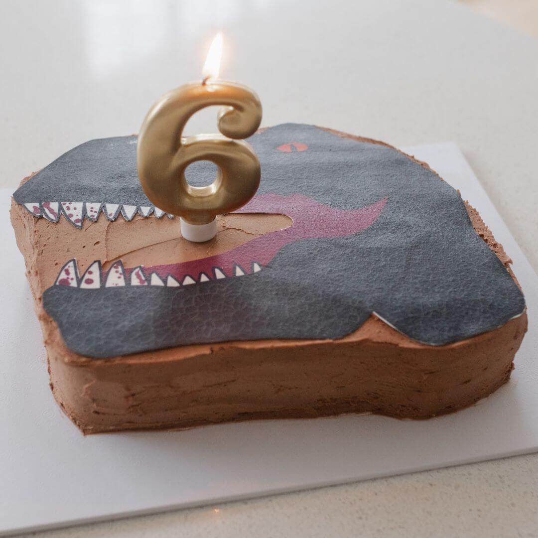 T-Rex Cake Kit