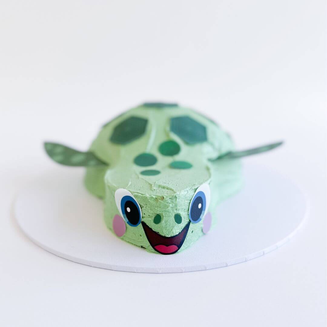 Turtle Cake Kit