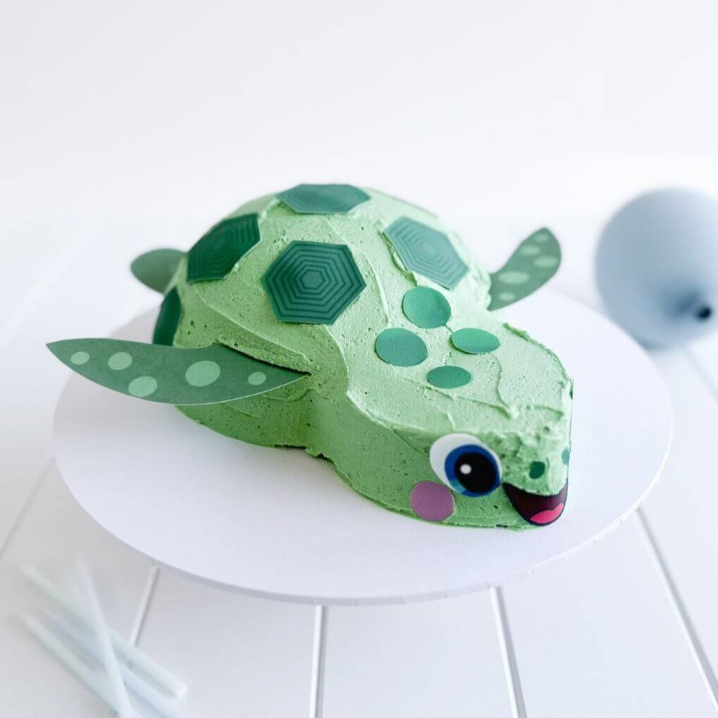 Turtle Cake Kit