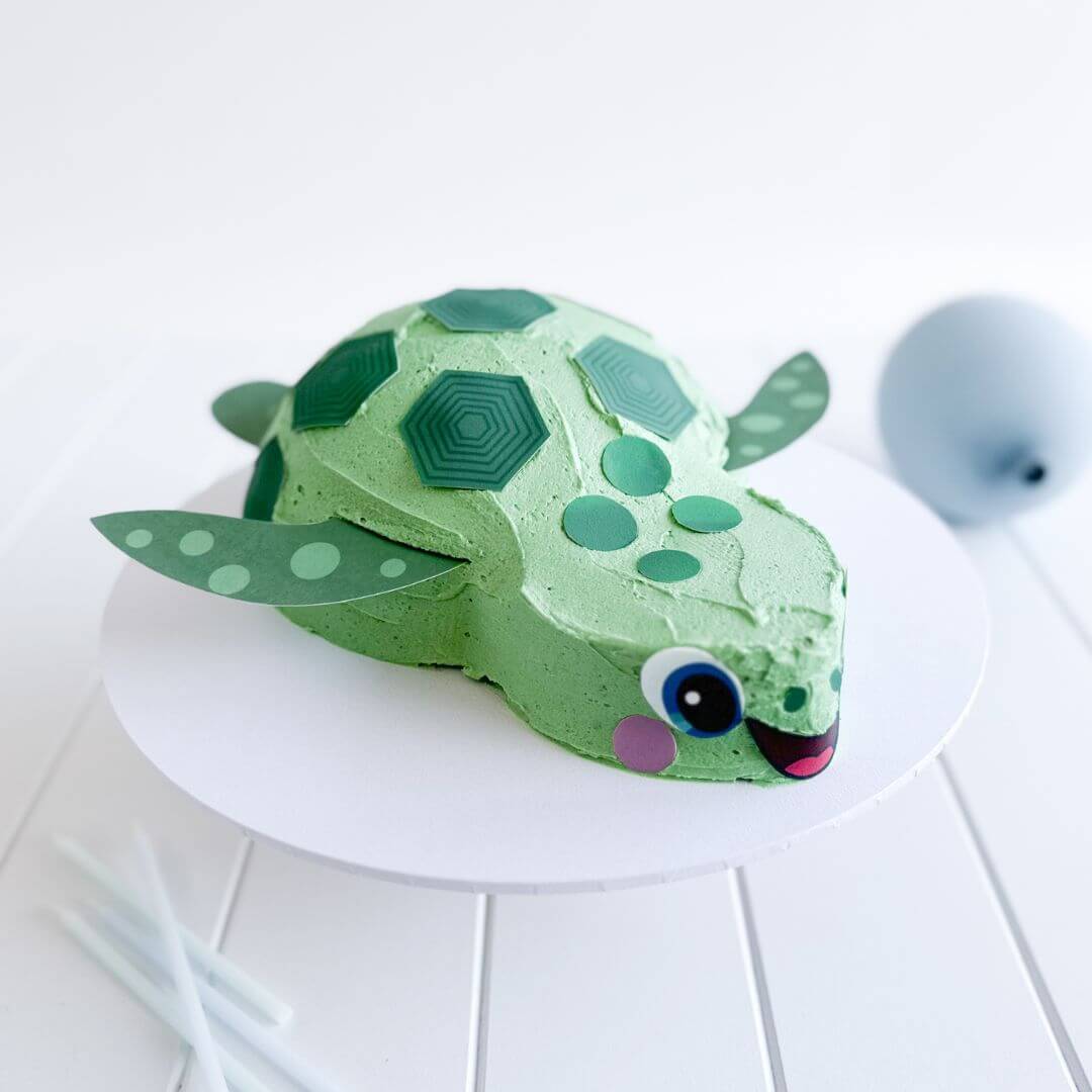 Turtle Cake Kit