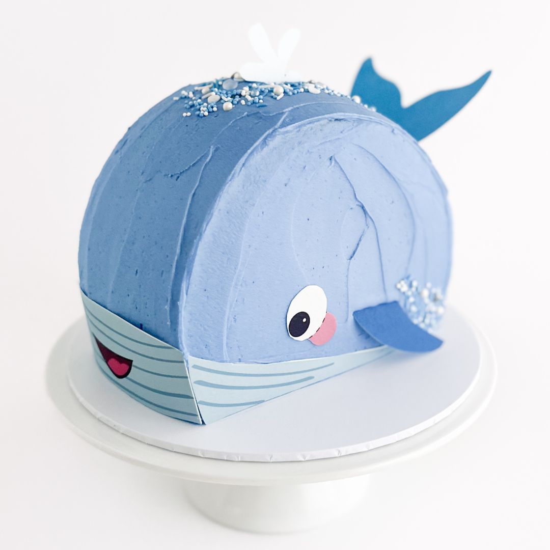 Whale Cake Kit | Bake Believe
