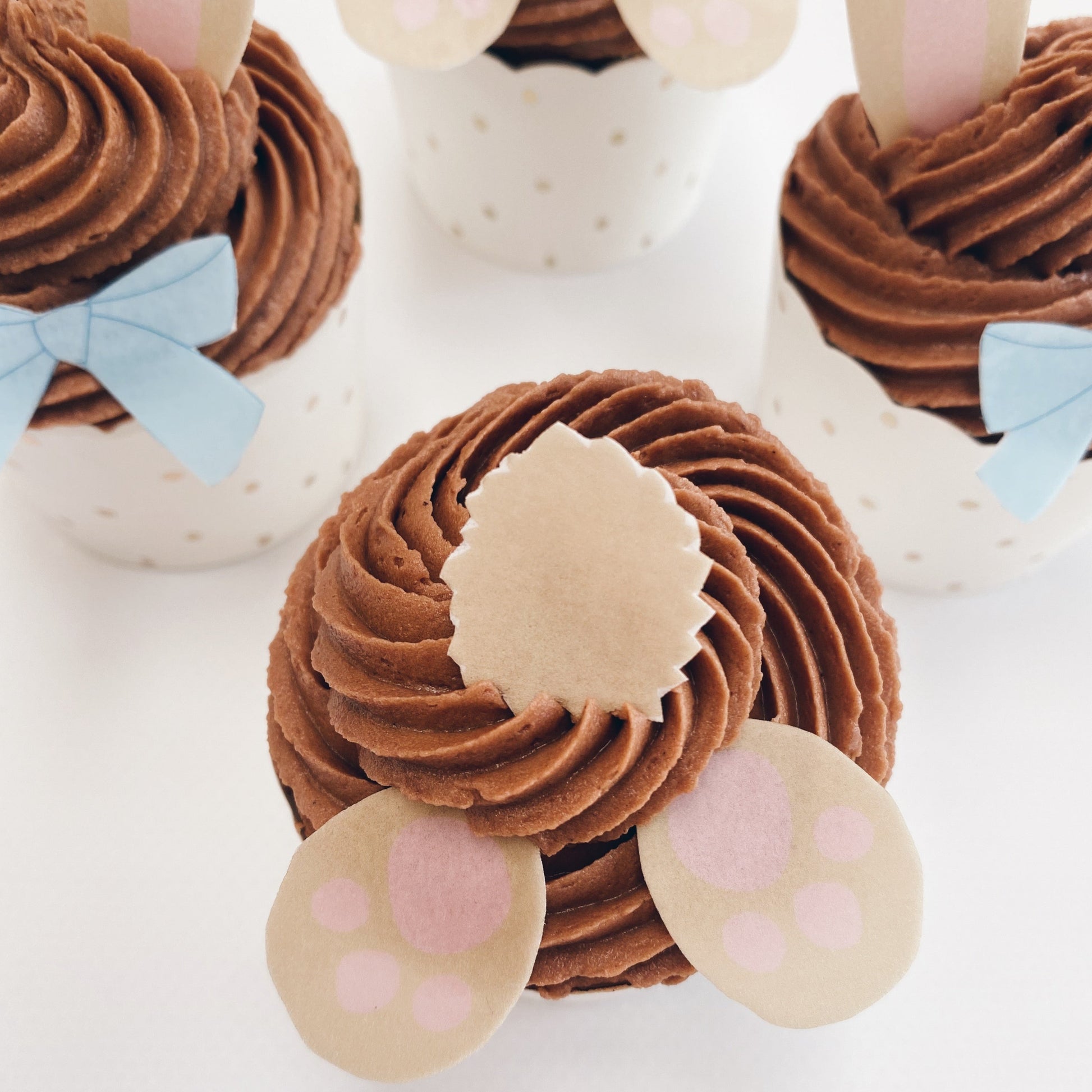 Easter Bunny Cupcake Kit