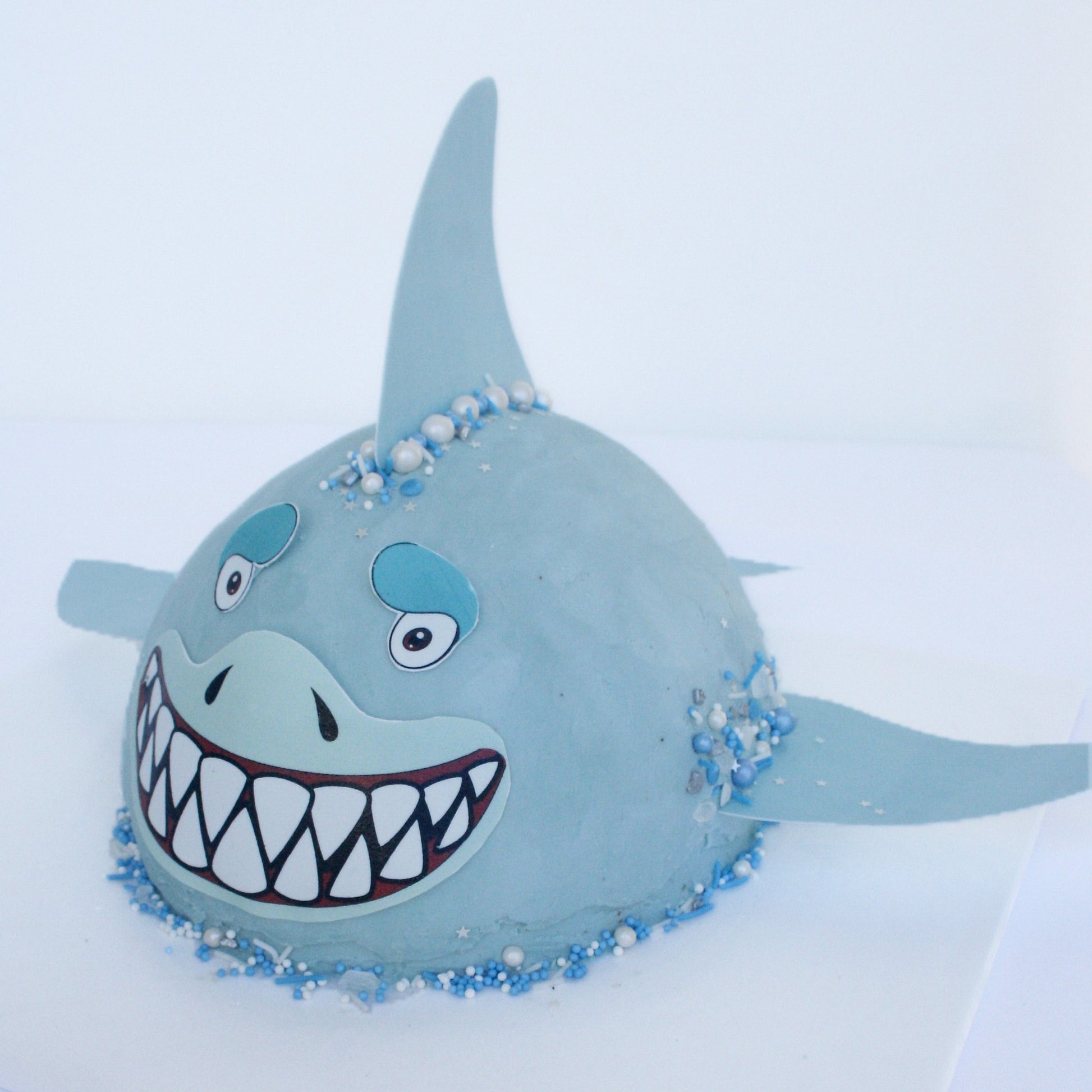 Shark Cake Kit
