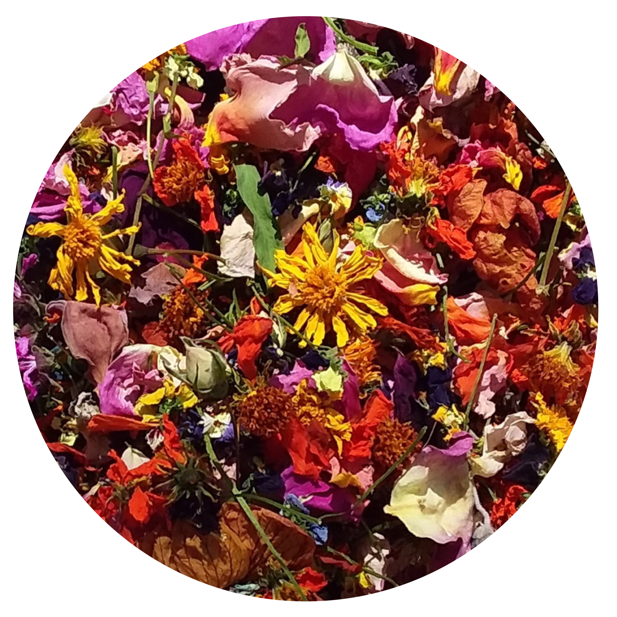Mix of edible dried flowers for baking 18 g